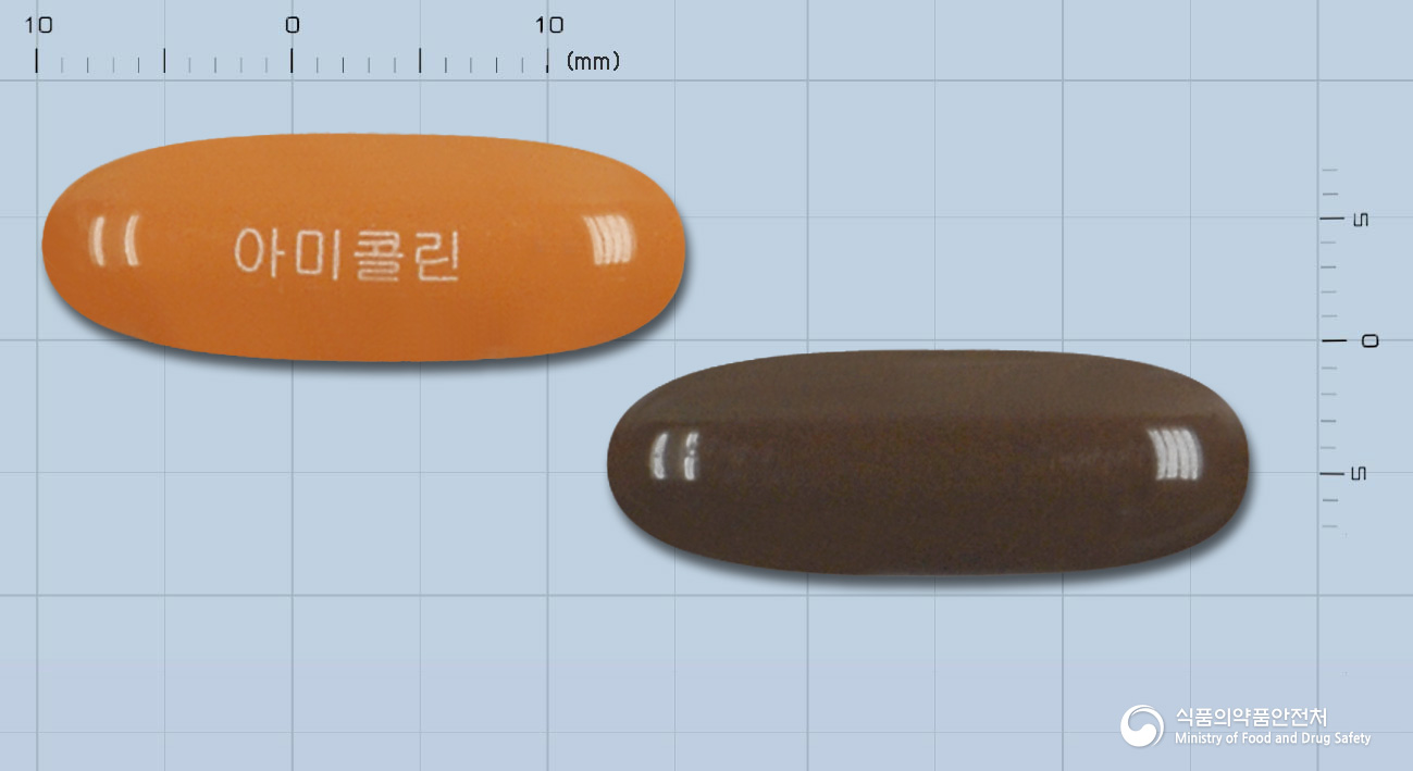 아미콜린연질캡슐
