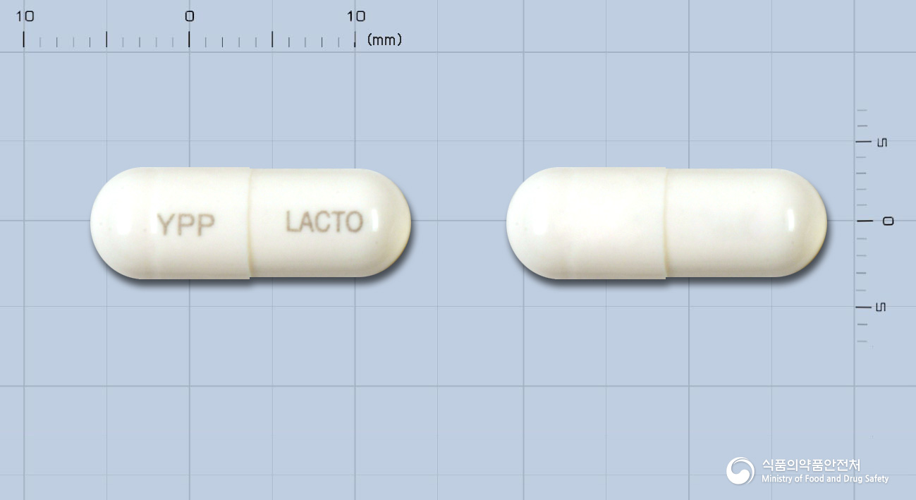 락토민캡슐(락토바실루스아시도필루스균틴달화동결건조물)