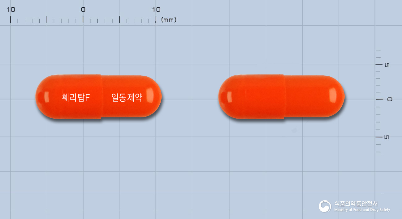 훼리탑에프캡슐