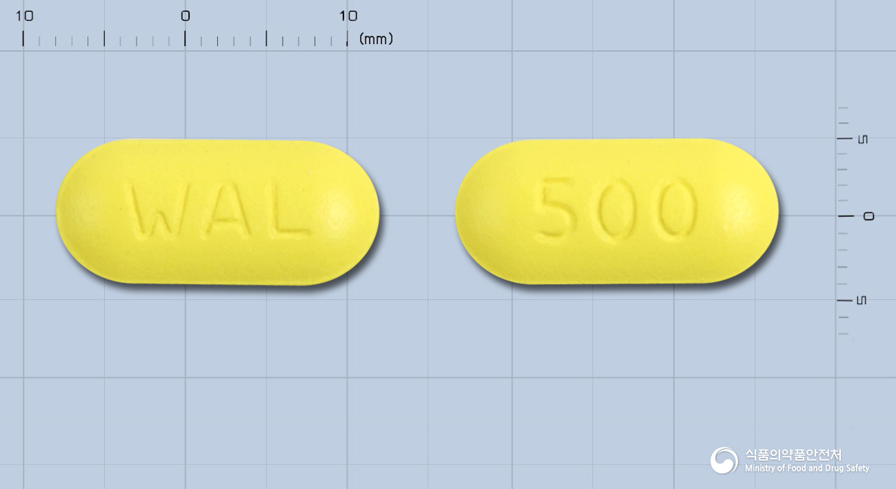 클로틴정500mg(클래리트로마이신)