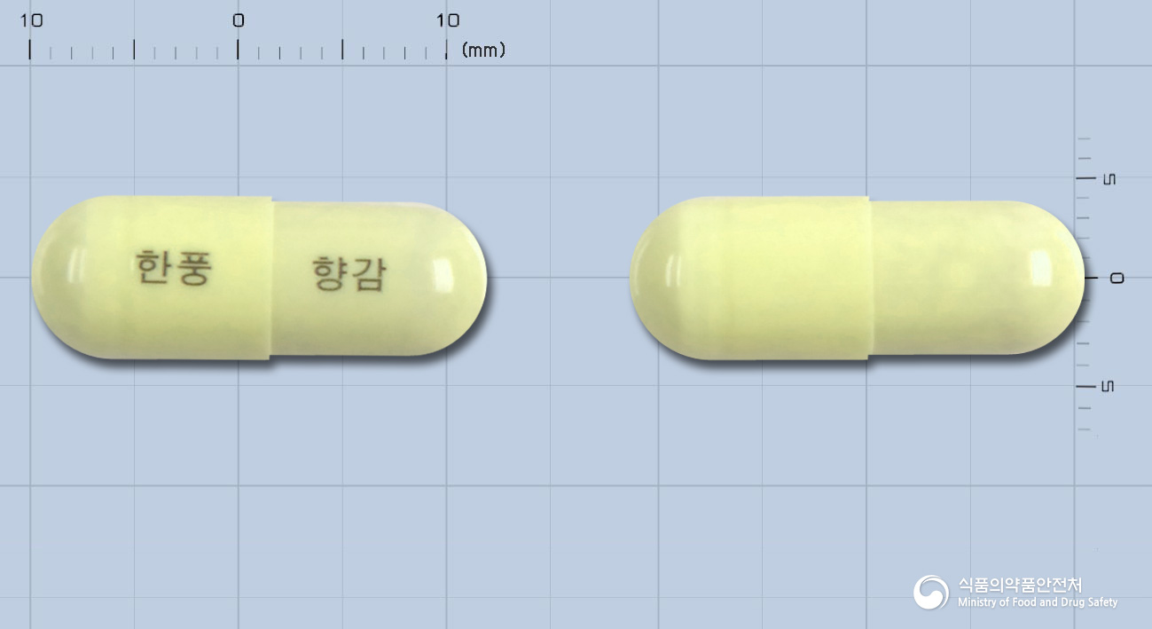향감캡슐