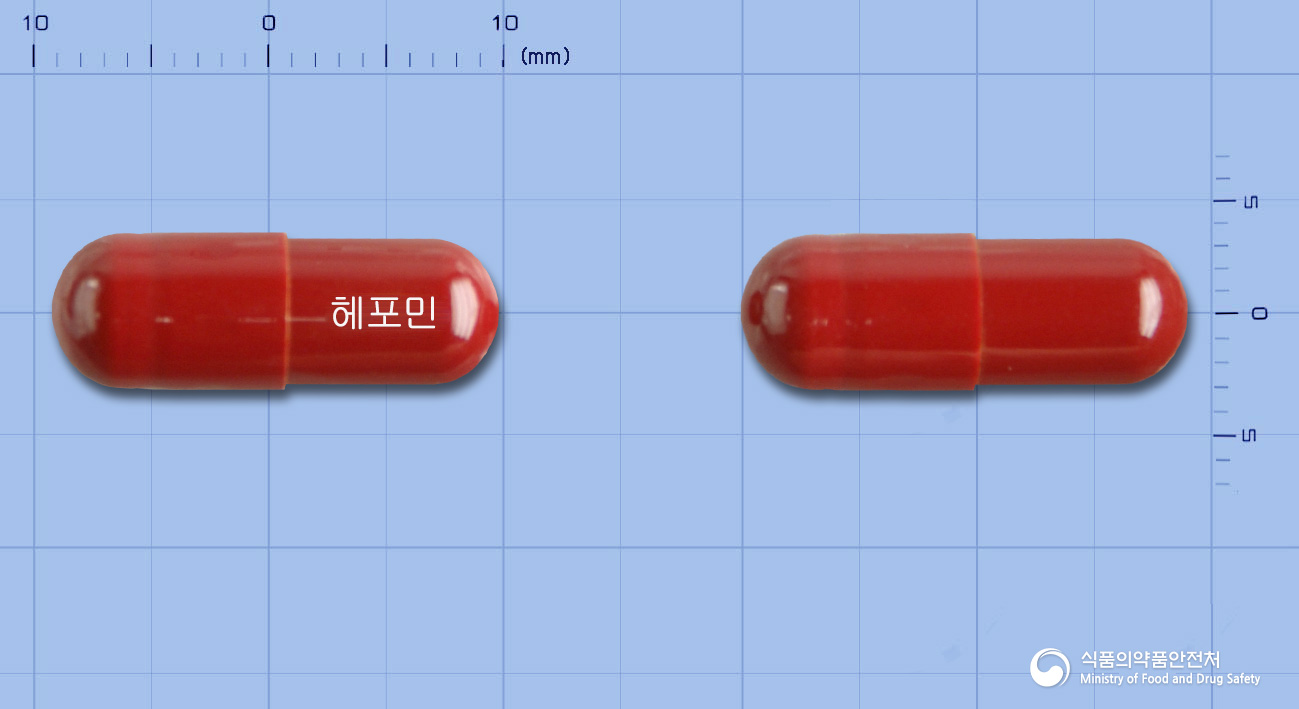 헤포민캡슐