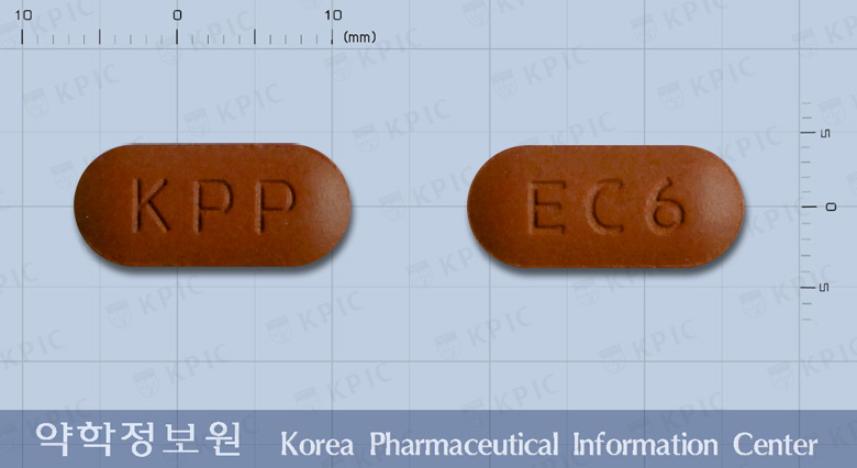 메가콘드로600정