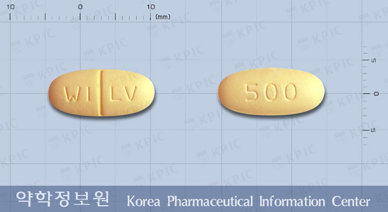 케프렙톨정500밀리그램(레비티라세탐)
