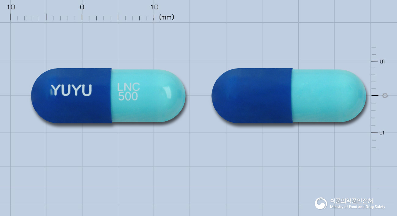 린코신캡슐500mg(린코마이신염산염수화물)