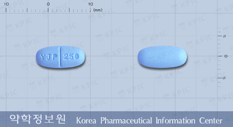 레비세탐정250밀리그램(레비티라세탐)