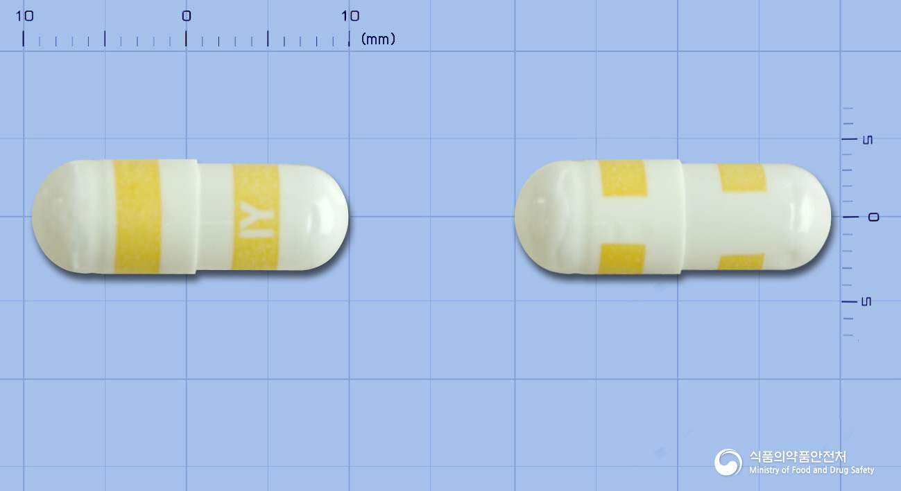 투콕시브캡슐200mg(세레콕시브)