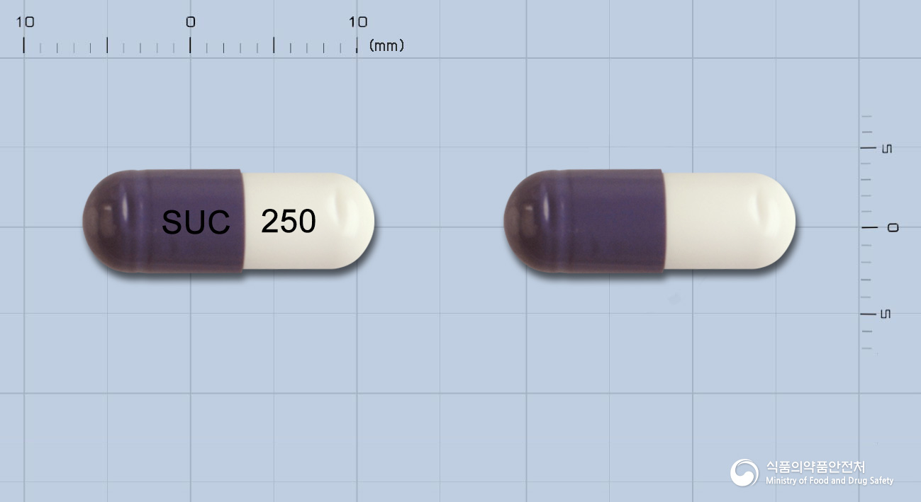뉴세파캡슐250mg(세파클러수화물)