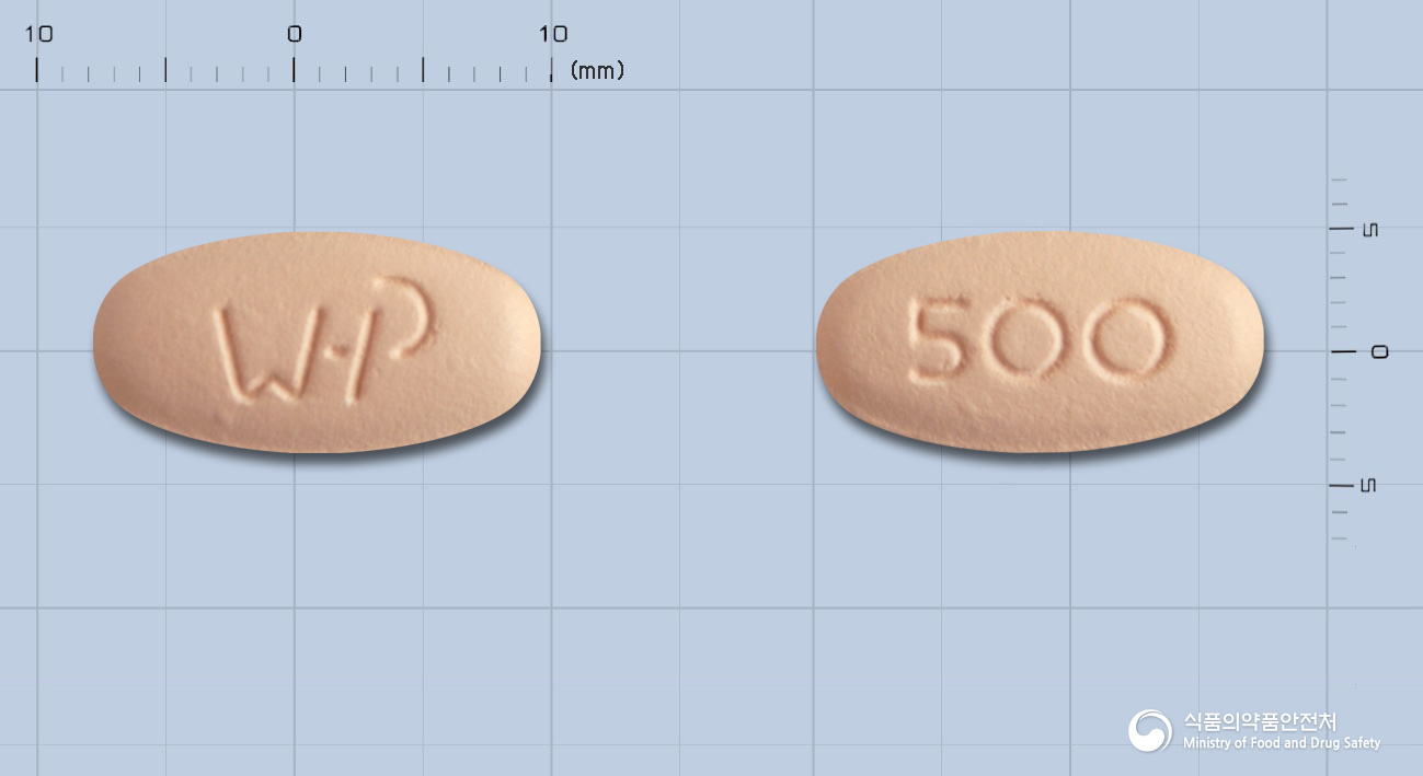 하이록신정500mg(레보플록사신수화물)