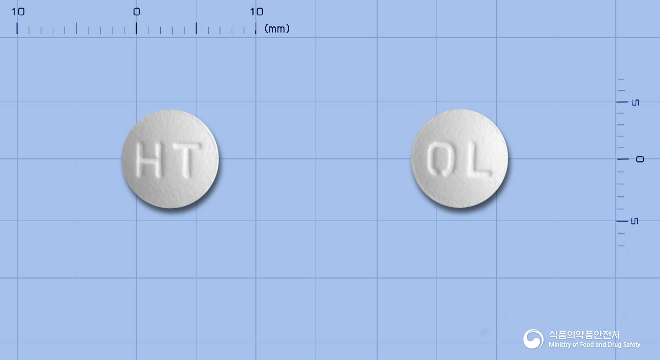 오라록신정100mg(오플록사신)