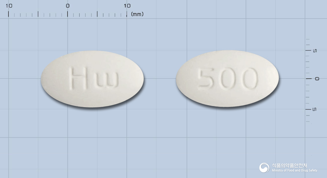 아목시탐정500mg(아목시실린·설박탐피복실)