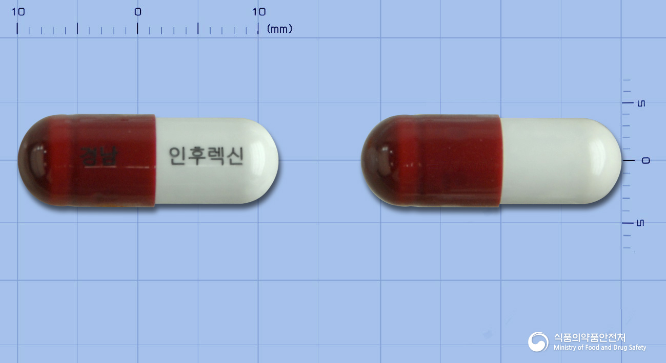 인후렉신캡슐(은교산)
