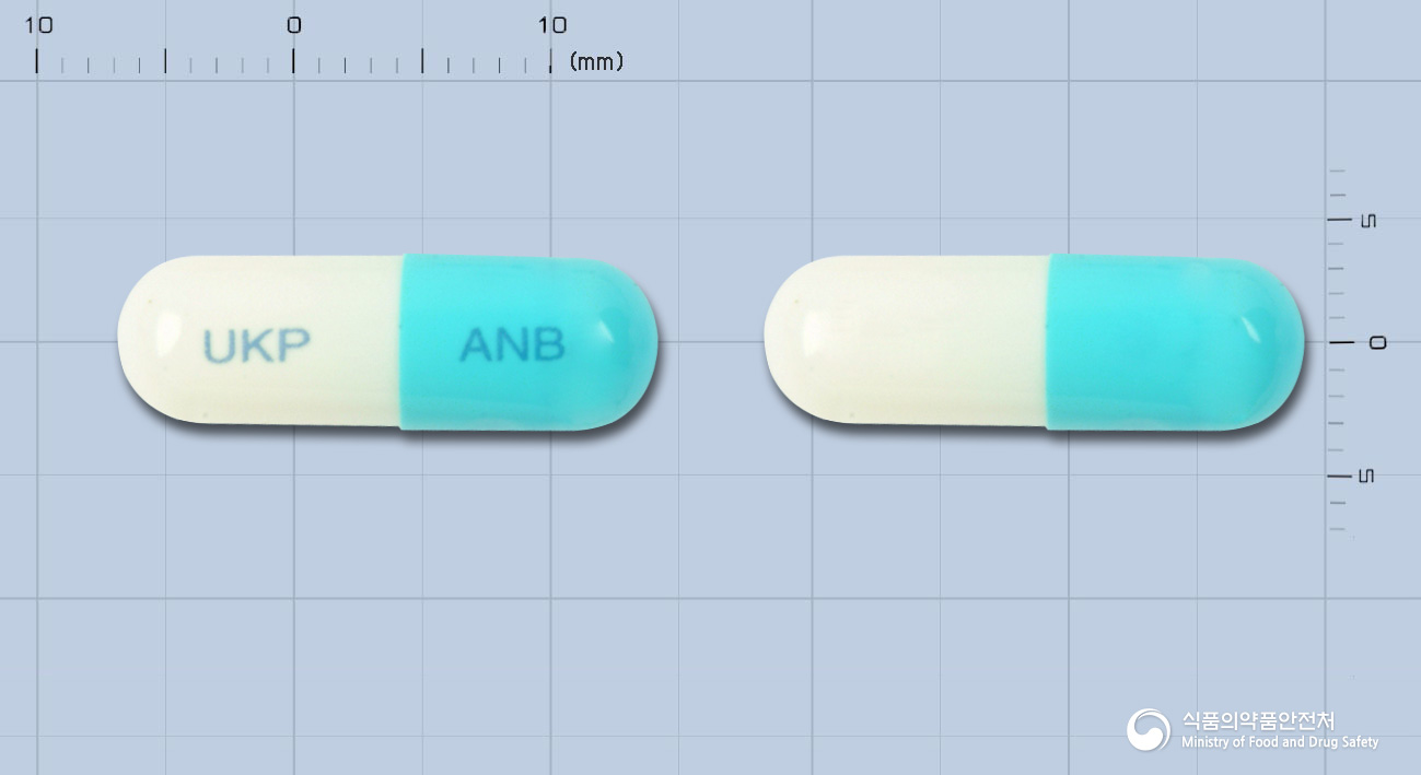 아노벤캅셀(말레인산프로글루메타신)