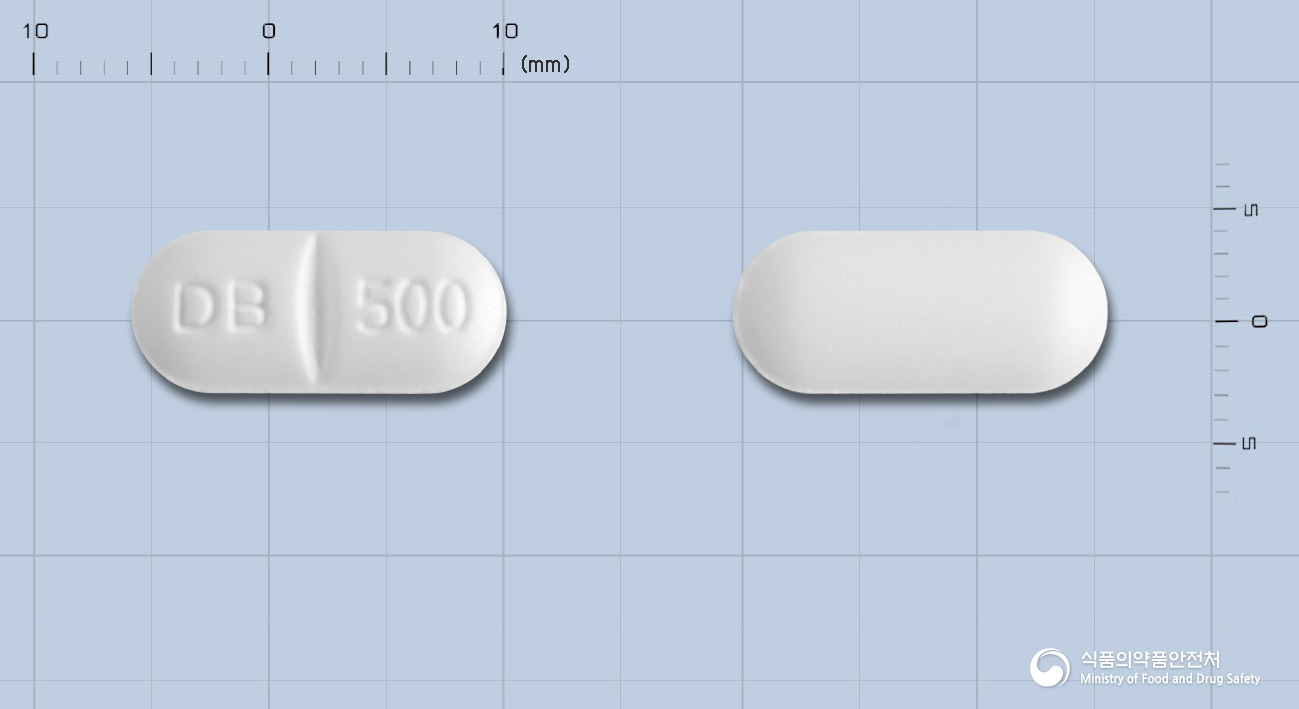 글루파정500mg(메트포르민염산염)