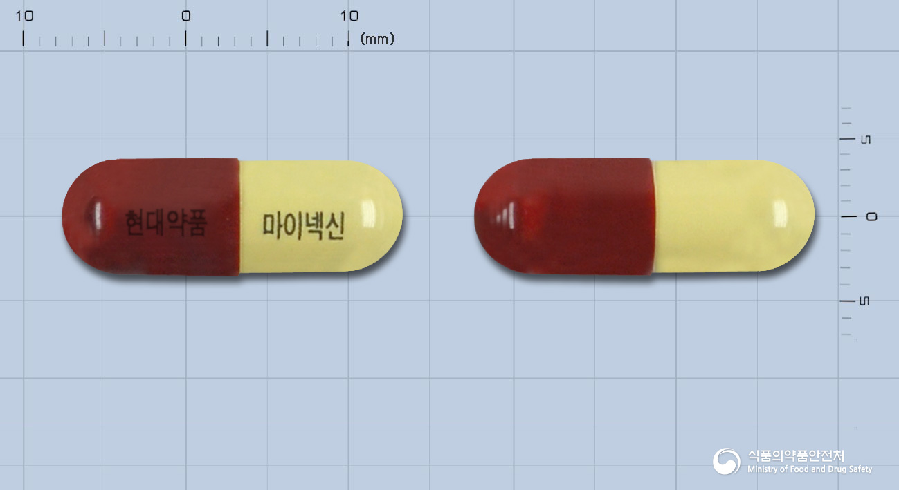 마이넥신캡슐(은교산건조엑스)